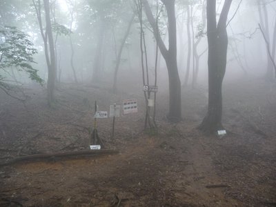 峠に着くとガスでいっぱい