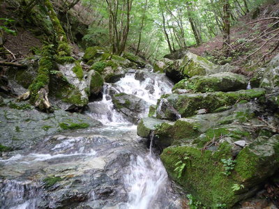 03地蔵谷の斜滝(1).JPG (705.58 KiB) 閲覧された回数 8047 回 地蔵谷の斜滝