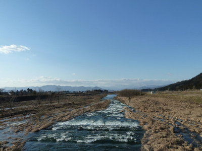 春を感じる真名川の流れ