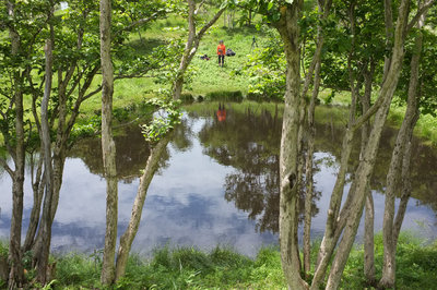 B'sコンビと会って以来の赤ゾレ池