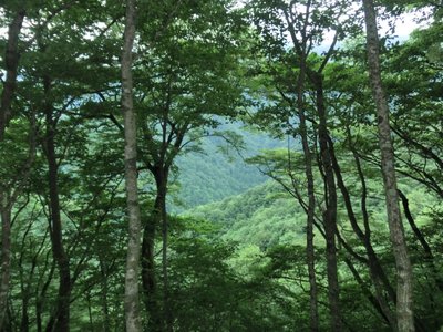 CIMG0638.JPG (362.1 KiB) 閲覧された回数 7034 回 心やすまる空間