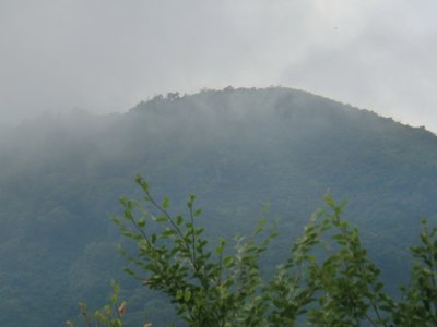 CIMG0655.JPG (133.54 KiB) 閲覧された回数 7038 回 振り返れば若丸が