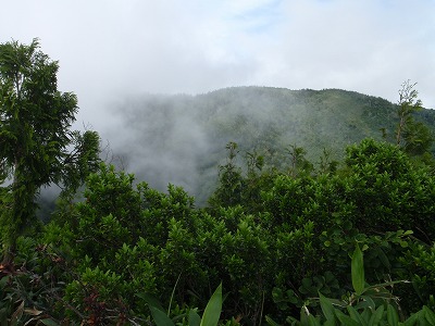 ガスのベールから手招きするお猿さん