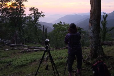 ここから富士山見えるかな？