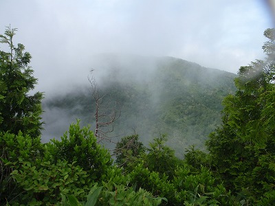 ガスのカーテンから手招き