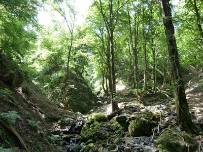 トタテ上流の三俣