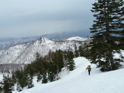 やっぱりこの時期でしょう