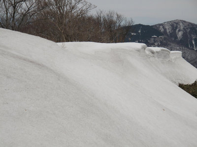 小津権現山から花房山への縦走路