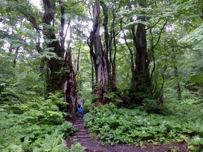 カツラ門と呼ばれるところです（biwacoさんが小さい）