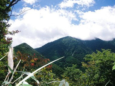 やぶこぎ途上で恵那山と剣先に元気をもらうの図