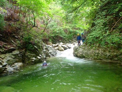 泳ぐシュークリームさん