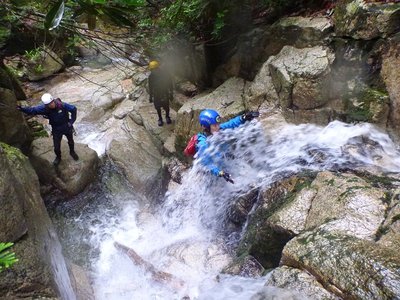 シャワーも楽し