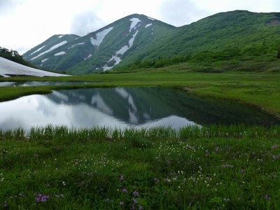 P1050904.JPG (207.15 KiB) 閲覧された回数 2797 回 天狗ノ庭から火打山を望む