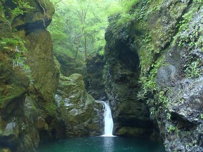 奥の平谷・魚止滝