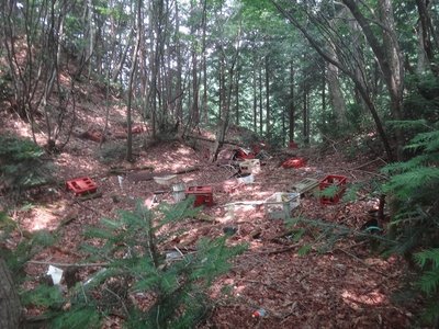 DSC00636.jpg (193.86 KiB) 閲覧された回数 7413 回 植林小屋跡