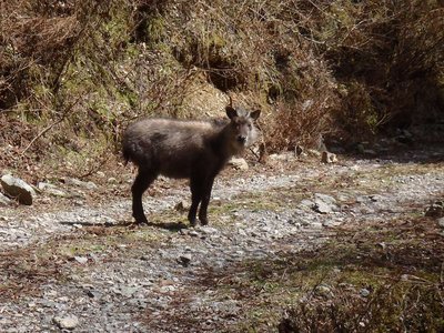 20110410-34.jpg (195.31 KiB) 閲覧された回数 12138 回 20110410-34.jpg