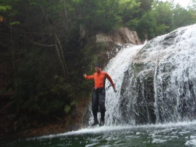 ダイブする、ふ～さん