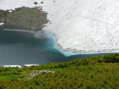 ペンギンがいた（＾◇＾）乗鞍の池