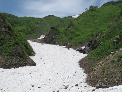 緑がきれいなたんぽぽ平への登り