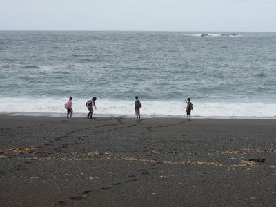 土曜日の東紀州の海辺、当然ながら雨ですた。