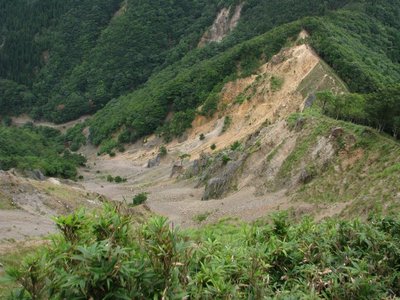 文三ハゲを見降ろすと左端に林道が・・・