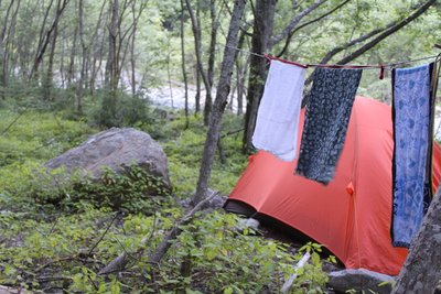 慣合の岸辺は緑のテントサイト