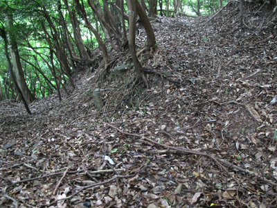 南東尾根の牛道