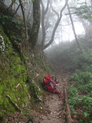 遠足尾根の牛道