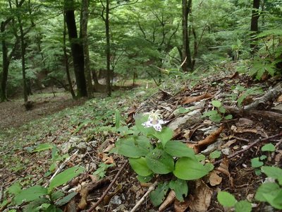 20120812-30.jpg (194.84 KiB) 閲覧された回数 8007 回 20120812-30.jpg