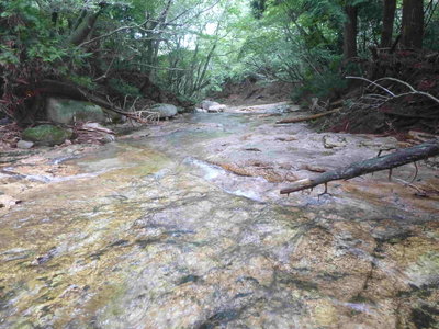 01白滝谷に多いナメ(1).JPG (621.83 KiB) 閲覧された回数 2251 回 白滝谷に多いナメ