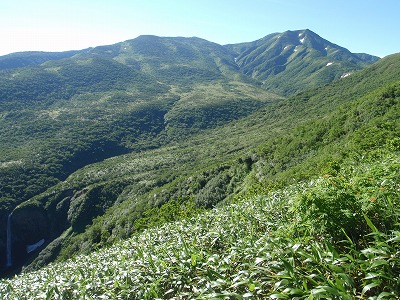 百四丈滝への斜面