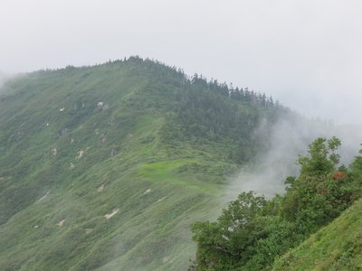 縦走路.jpg (163 KiB) 閲覧された回数 2092 回 遠目には歩けそうだが