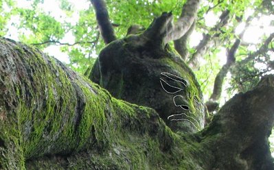 拡大してなぞってみました