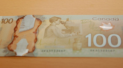 これが問題の顕微鏡女性かいな