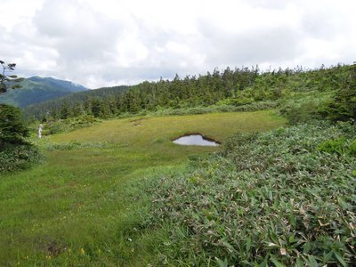 未踏の湿原2.jpg (184.59 KiB) 閲覧された回数 2867 回 未踏の湿原