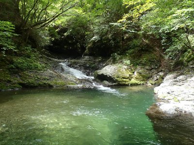 zippさんお勧めの分岐林道から上流