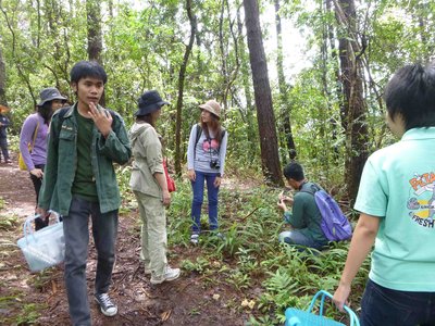 ドイインタノンの中腹をハイキング