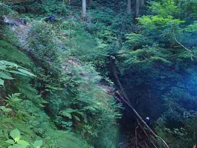 P8260288_640.jpg (75.73 KiB) 閲覧された回数 3679 回 お荷物がいる我がパーティにとっては、突破できるはずもない大滝だ。左を高巻いて先頭に出る。