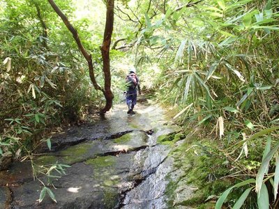 P8260333_640.jpg (103.49 KiB) 閲覧された回数 3689 回 ナメを歩く敏さん。