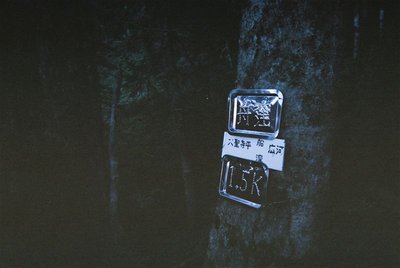 金属プレートは心強いナビゲーター（写ルンデスなので真っ暗）