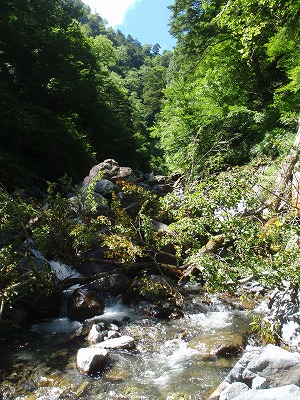 福川の撤退地点