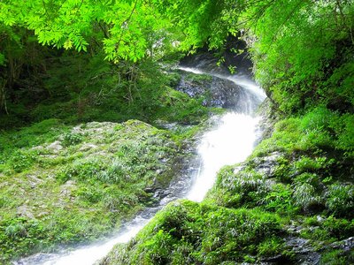 黒滝谷(「金谷」)の滝＝黒滝