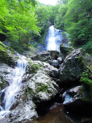 サスケと枝谷の滝。<br />サスケの直瀑の右の岩近くに、沢装束の人物が・・・!?
