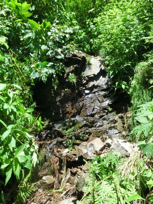 CIMG0037.JPG (532.04 KiB) 閲覧された回数 10837 回 剣心、不覚・・・。深く反省のポイント。