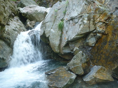 右上の濡れているところがルート