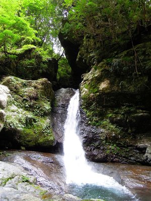ほら貝ゴルジュ入口の滝・双頭滝