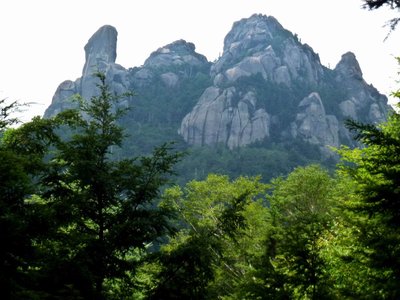 登山道の樹間から見上げる瑞牆山