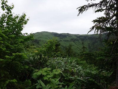 DSC00848.jpg (196.41 KiB) 閲覧された回数 4637 回 登山道から駒ケ岳が顔をのぞかせた