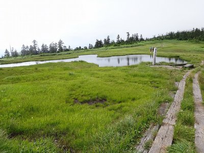 DSC00872.jpg (194.5 KiB) 閲覧された回数 4637 回 中門大池