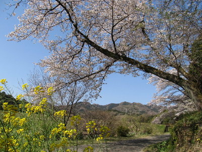 縦走稜線を望む